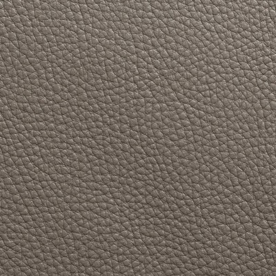 Garrett Leather Torino Taupe Fedora